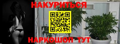 a pvp Новозыбков