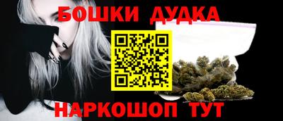 a pvp Новозыбков