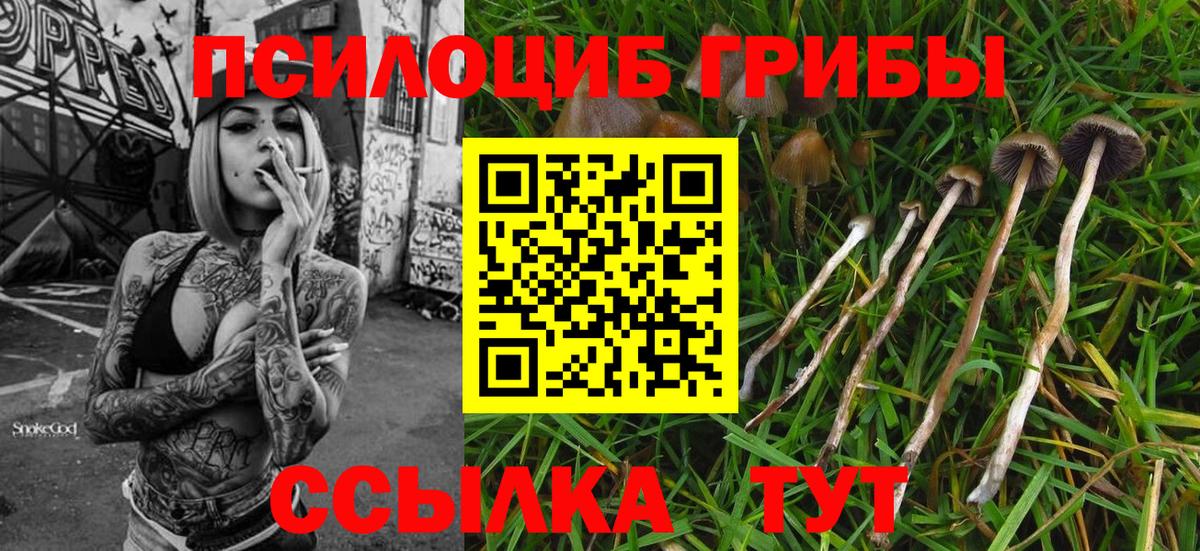 Псилоцибиновые грибы MAGIC MUSHROOMS  Вход с VPN  Фурманов 